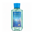 Bath & Body Works BBW Frosted Coconut Snowball Body Wash