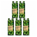 Bath & Body Works Eucalyptus Mint Gentle & Clean Foaming Hand Soap Refill PACK OF 5