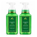 Bath & Body Works BBW Eucalyptus Mint Gentle & Clean Foaming Hand Soap PACK OF 2