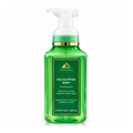 Bath & Body Works BBW Eucalyptus Mint Gentle & Clean Foaming Hand Soap