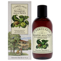 LErbolario Walnut Shampoo Unisex Shampoos 6.7 FL OZ | 200 ML