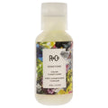 R+Co Gemstone Color Conditioner Unisex Conditioners 2 OZ | 60 ML