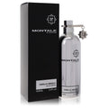 Montale Vanille Absolu Unisex Eau De Parfum 3.4 FL OZ | 100 ML