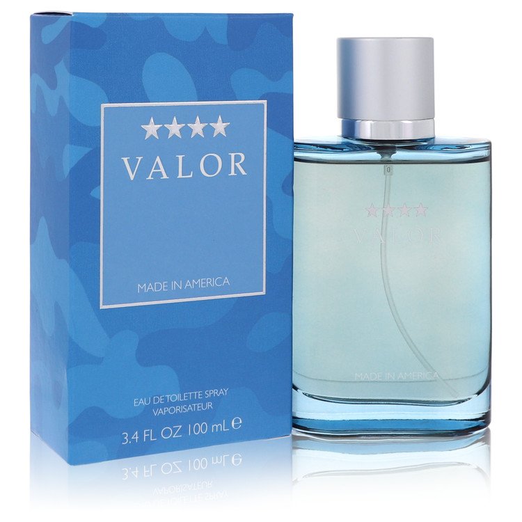 Dana Valor Men's Eau De Toilette 3.4 FL OZ | 100 ML